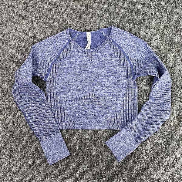 Seamless Gym Clothing Women Yoga Set Fitness Suit Workout Sets Yoga Suit Women Fitness Set Women Women's Sportswear Suit