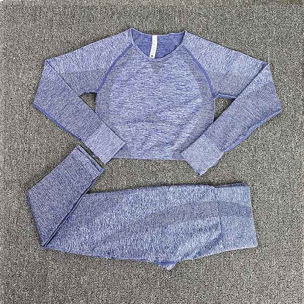 Seamless Gym Clothing Women Yoga Set Fitness Suit Workout Sets Yoga Suit Women Fitness Set Women Women's Sportswear Suit