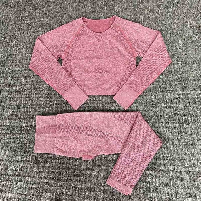 Seamless Gym Clothing Women Yoga Set Fitness Suit Workout Sets Yoga Suit Women Fitness Set Women Women's Sportswear Suit